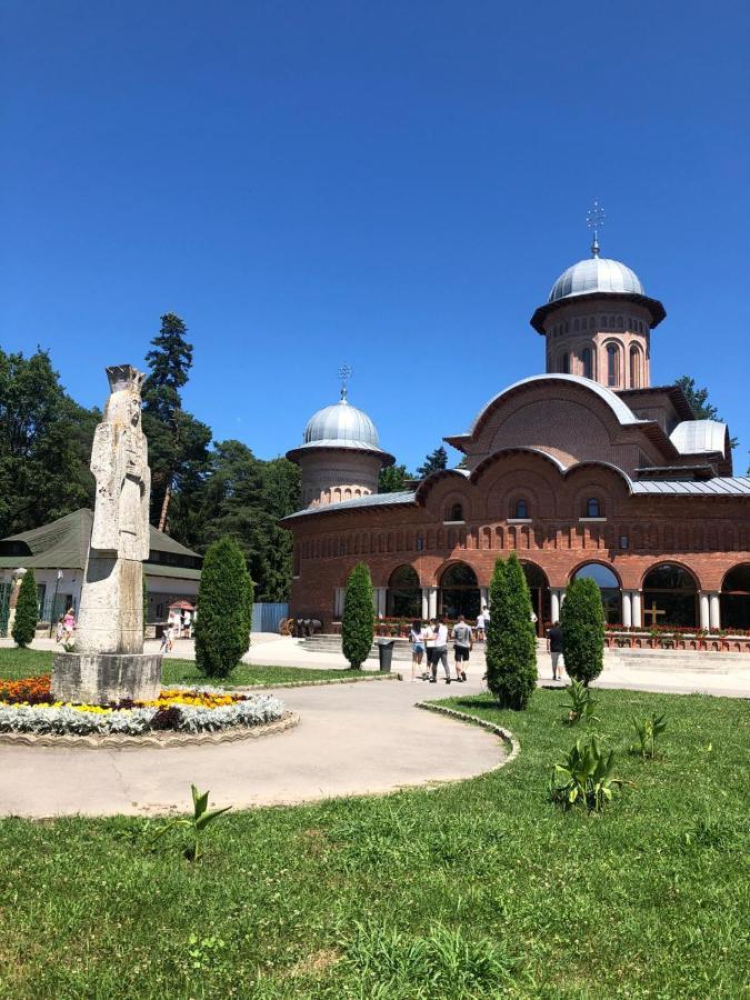Pensiune Montana Curtea de Argeş Esterno foto